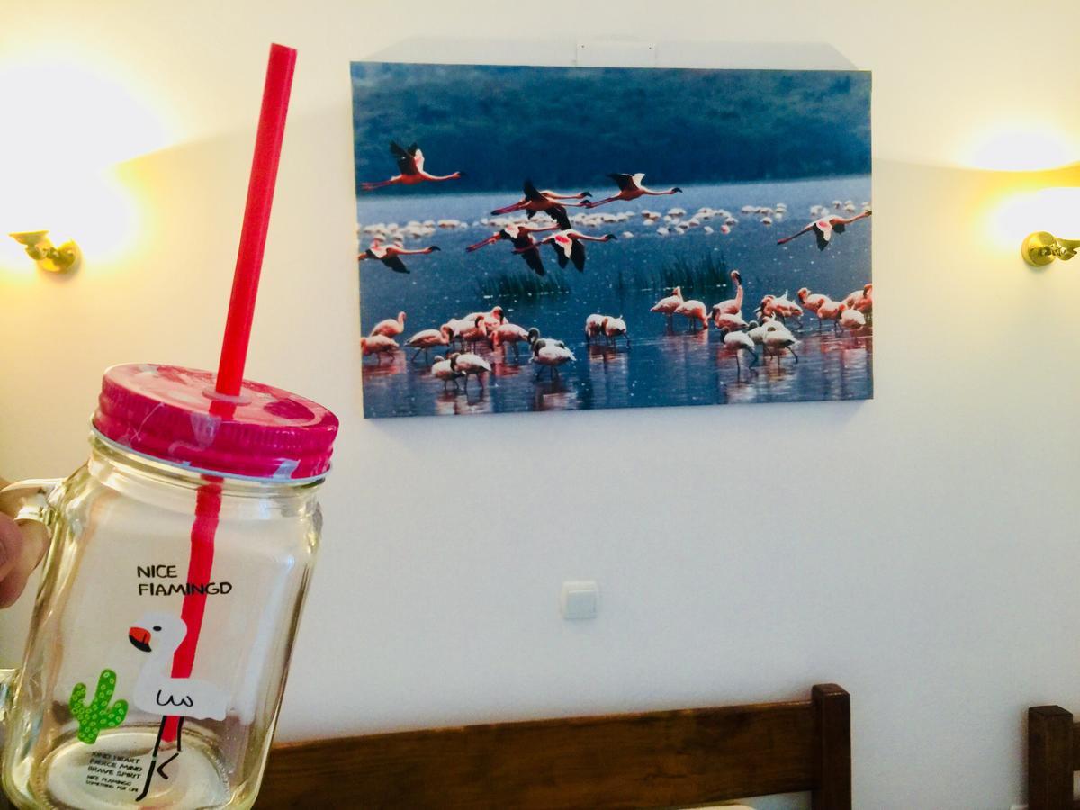 Apartments Flamingo Ulcinj Extérieur photo